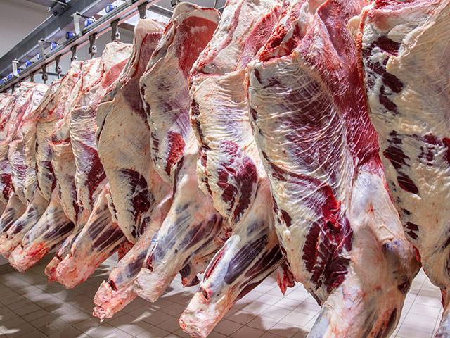 Explorez nos rayons pour trouver les morceaux de bœuf, de veau et d’agneau qui agrémenteront vos recettes. 